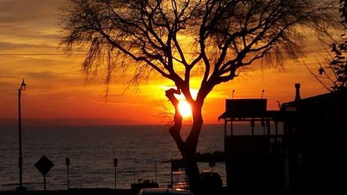 Viviendas Turisticas Balm Beach Resort And Motel