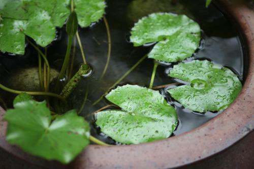 Agroturismo Ming Shan Villa