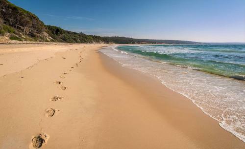 Catlins Newhaven Holiday Park