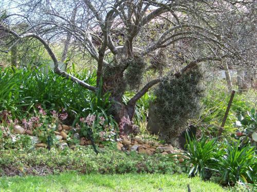 Agroturismo Lemontree Cottage