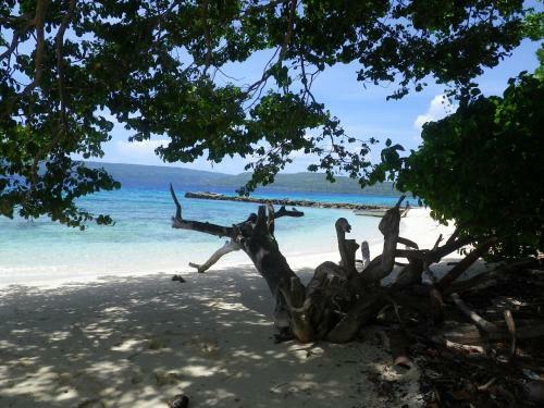 Hotel Tranquility Island Resort
