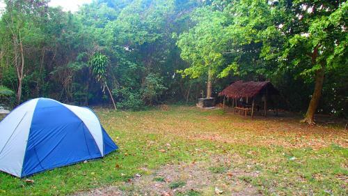Hotel Tranquility Island Resort