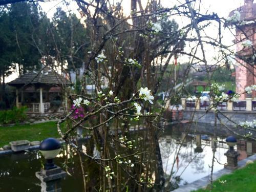 Sapa Garden Bed And Breakfast