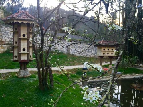 Sapa Garden Bed And Breakfast
