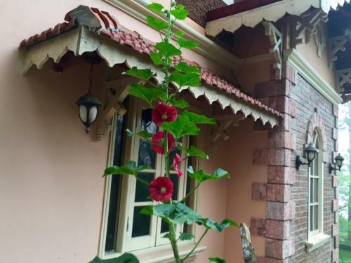 Sapa Garden Bed And Breakfast