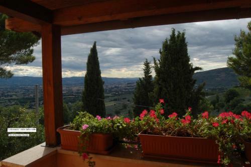 Hostal Azienda Agrituristica Il Moraiolo