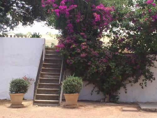Agroturismo La Carre�a
