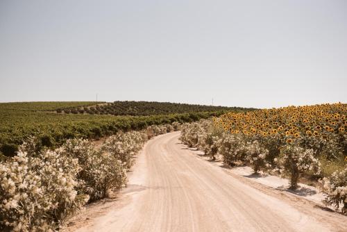 Agroturismo La Carre�a