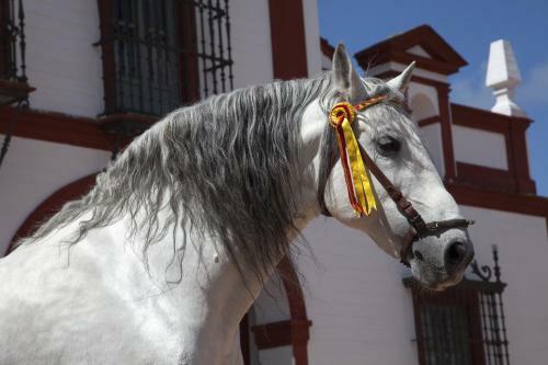 Agroturismo La Carre�a