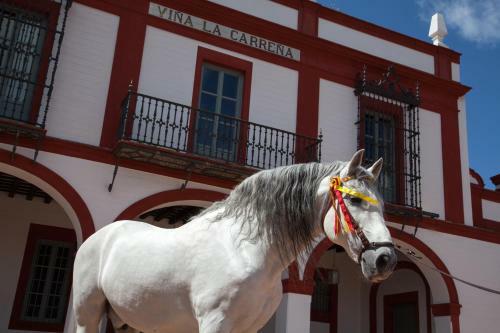 Agroturismo La Carre�a