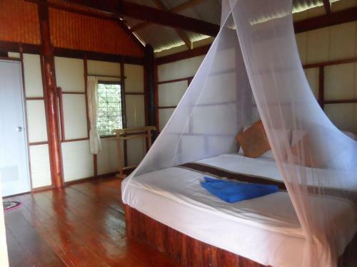 Jungle Hill Beach Bungalow