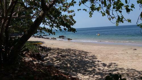 Jungle Hill Beach Bungalow