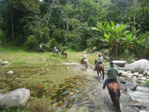 Omega Tours Eco-jungle Lodge