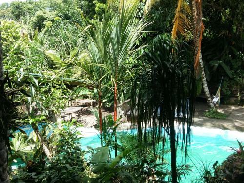 Omega Tours Eco-jungle Lodge