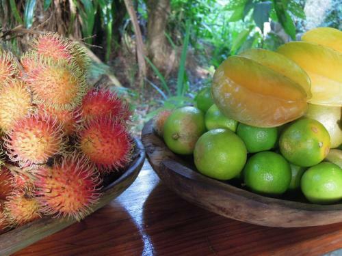 Omega Tours Eco-jungle Lodge