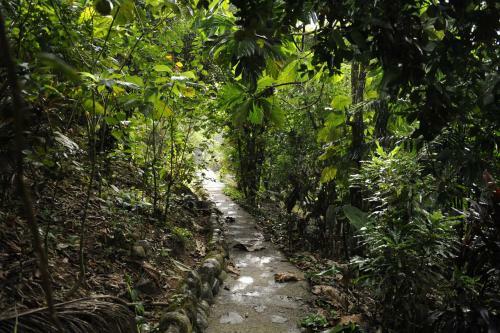 Omega Tours Eco-jungle Lodge
