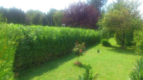 Holiday Home Balatonbereny 15