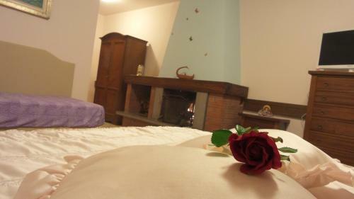 Hostal Villa Serafini