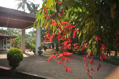 Hotel Soba Lanka Holiday Resort