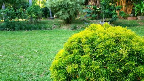 Hotel Soba Lanka Holiday Resort