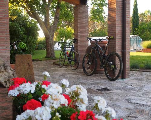 Bed & Breakfast Locanda Pantanello