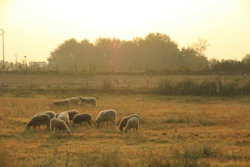 Bed & Breakfast Locanda Pantanello