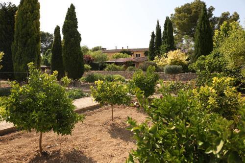 Agroturismo Possessi� Binicomprat