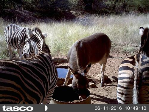 Agroturismo Boschfontein Guest Farm