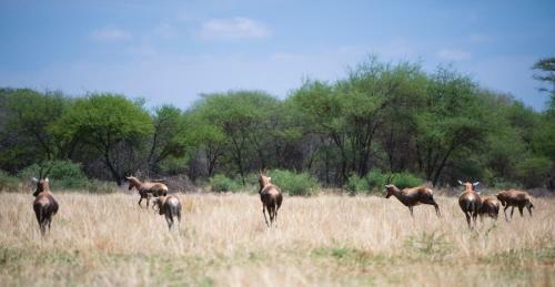 Agroturismo Boschfontein Guest Farm
