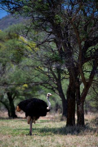 Agroturismo Boschfontein Guest Farm