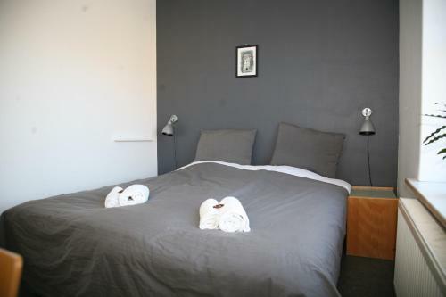 Nex� Modern Hostel. Private Rooms