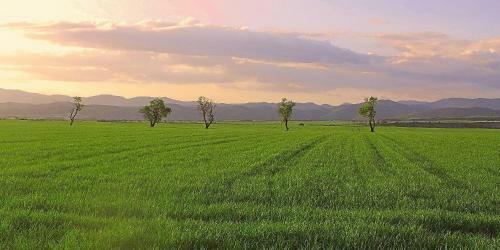 Agroturismo Casa Tetxe