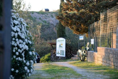 Hostal Podere Assolatina Agriturismo