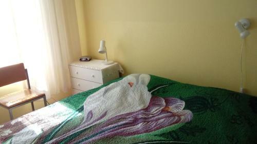 Jannseni Accommodation