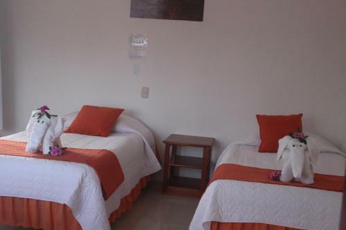 Gran Hostal Tintorera