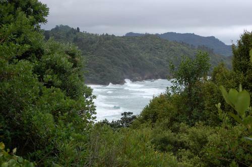 Waihi Beach Lodge