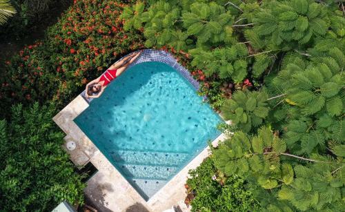 Hotel Calabash Cove Resort And Spa - Adults Only