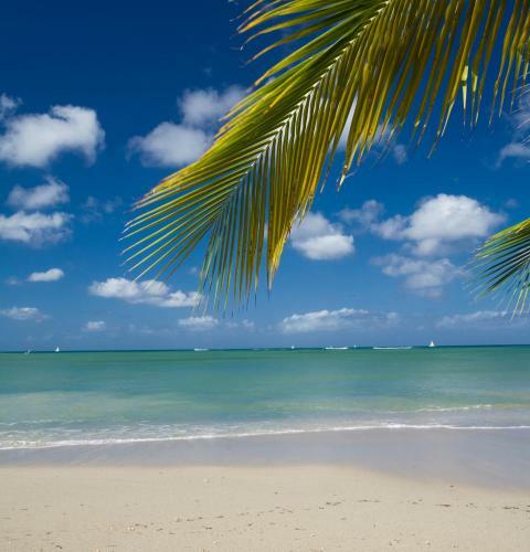 Hotel Calabash Cove Resort And Spa - Adults Only