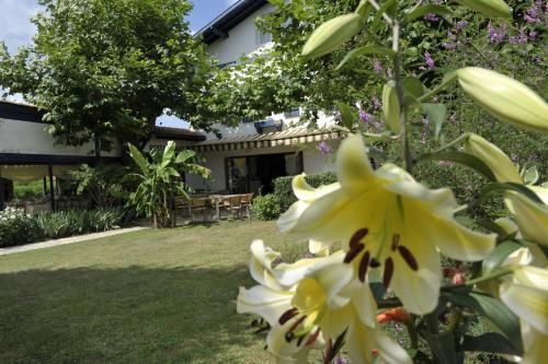 Abaca Ypua Hotel Restaurant
