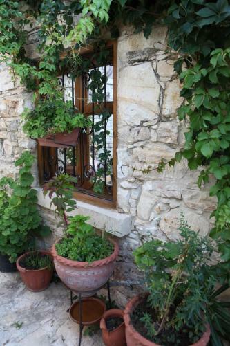 Posada Agrovino Lofou