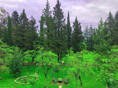 Imeri Park Hotel