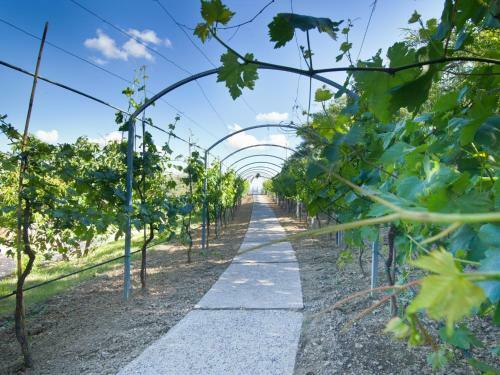 Agroturismo Il Vecchio Mandorlo