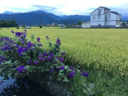 Yilan Real Fun Homestay