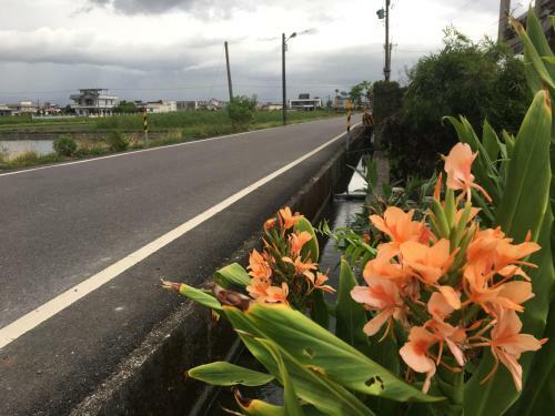 Yilan Real Fun Homestay
