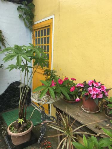 Yilan Real Fun Homestay