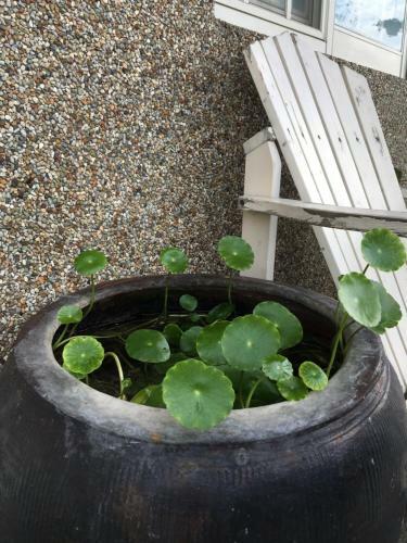 Yilan Real Fun Homestay