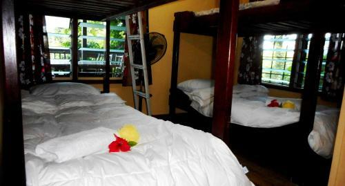Treetops Lodge