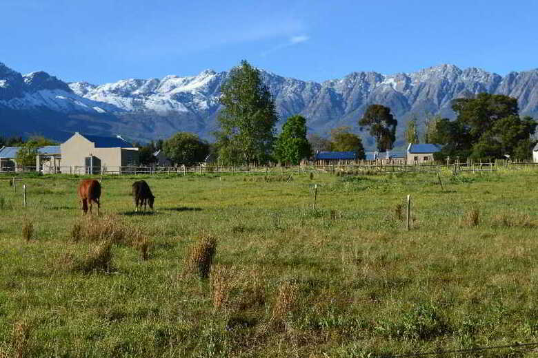 Agroturismo Saronsberg Vineyard Cottages