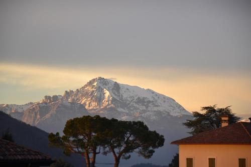 B&B Il Torchio