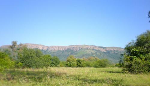 Damascus Bush Lodge